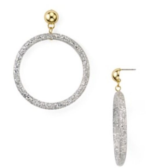 Rebecca Minkoff Glitter Resin Frontal Hoop Earrings silver - Picture 7 of 7